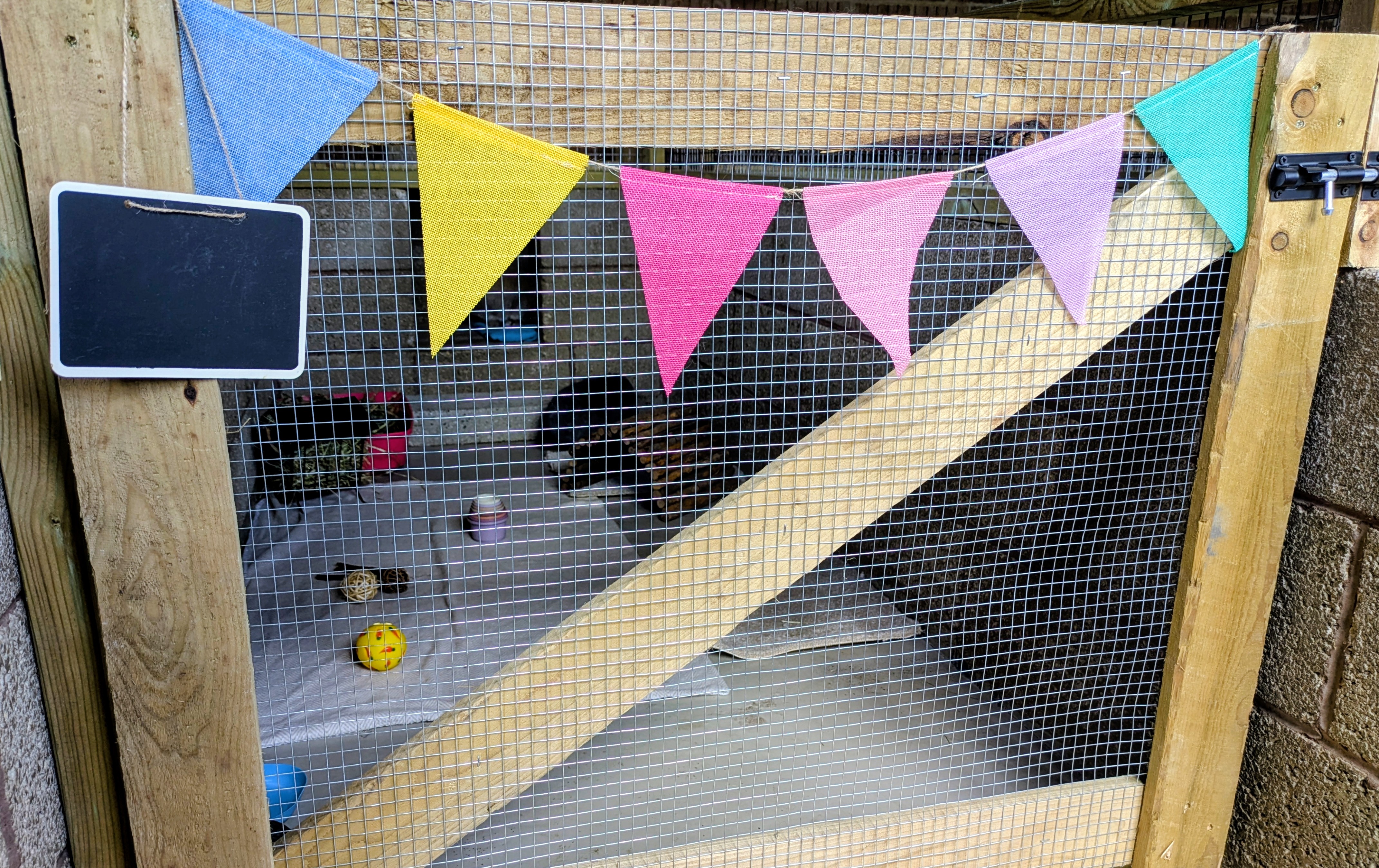 Secure enclosure entrance with wire mesh door and colourful bunting